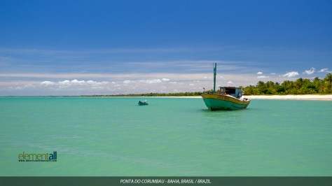 Incredible Bahia, Brazil - Executive Salad 