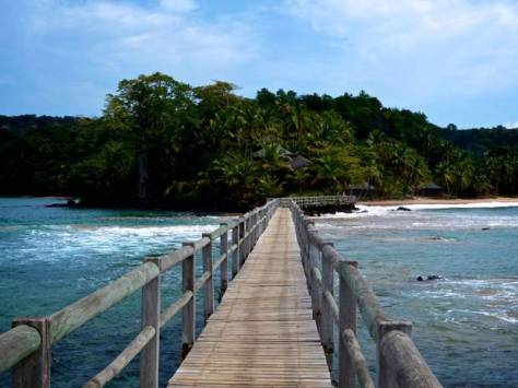 Sao tome and Principe: Prepare for turtle immersion - Executive Salad