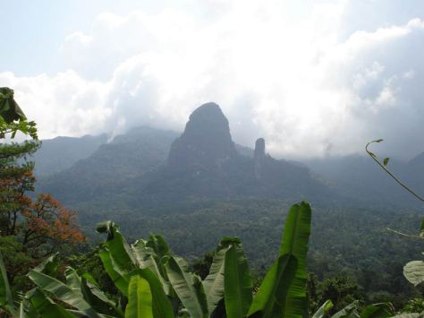 Volcanic Plugs - Sao tome and Principe: Prepare for turtle immersion - Executive Salad