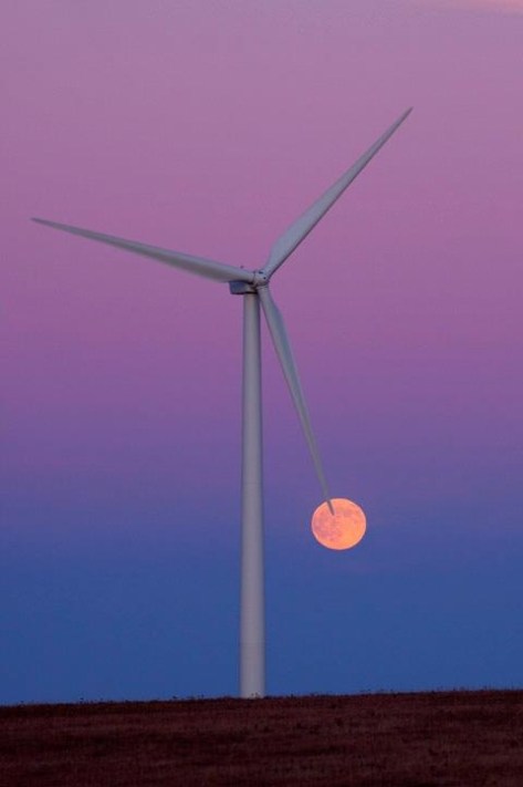 Wind farms outstrip nuclear power - Executive Salad